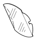 Lens Splash Shield Replacement Ea