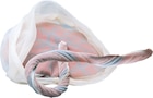 Anatomisch model placenta - per stuk
