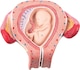 753637_NL_Front_01.jpg