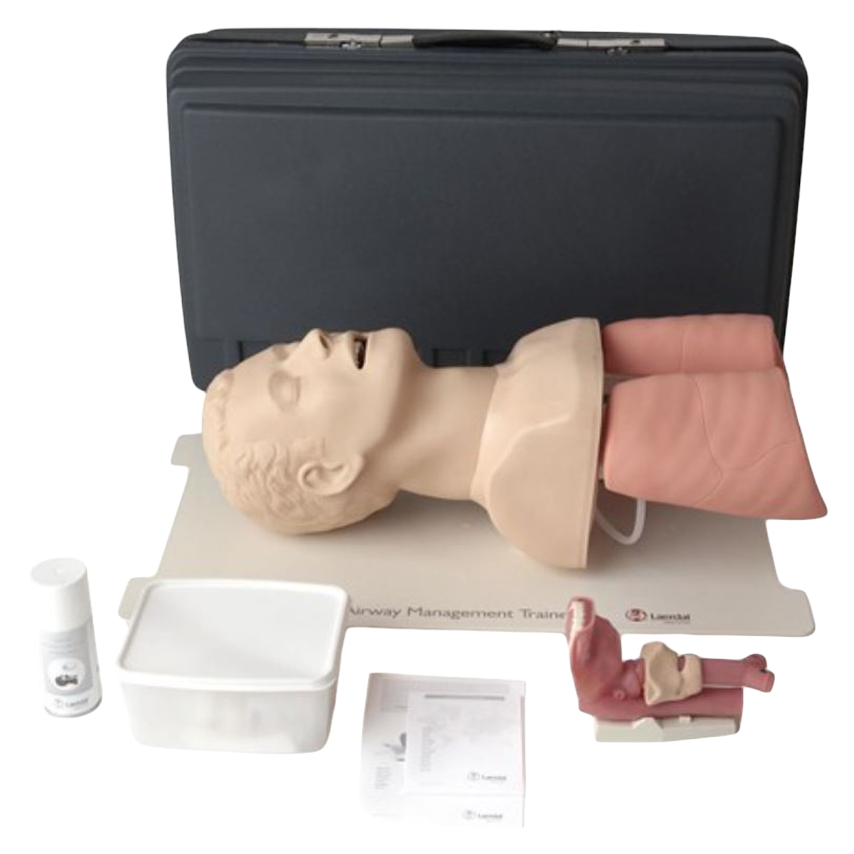 Head/Upper Torso Airway Management Adult Trainer EA