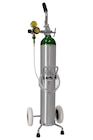 Cart Kit Crash For E Oxygen Tank Ea