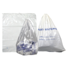 Patient Belongings Bag Transparent 20x20"