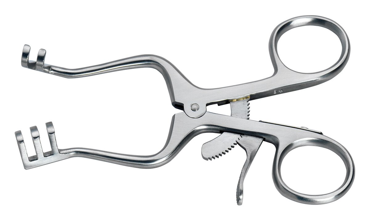 Wondspreider Weitlaner - stomp, 11,5 cm