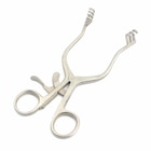 Wondspreider Weitlaner Wullstein - stomp, 13 cm