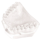 Gibraltar Orthodontic Plaster White 47.5Lb