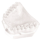 Gibraltar Lab Plaster Fast 47.5Lb