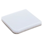 Mixing Pad Transparent 2 3/4 in x 3 1/8 in Ea
