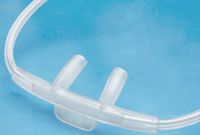 Cannula Oxygen Adult 50/Ca