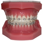 Micro Twin Roth - 022 Roth 5x5 U & L Hooks