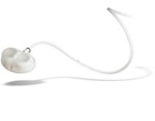 M.R.I. Intermediate Catheter 10 Gauge Open Introducer 10Fr Ea