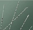 Urethral Catheter Whistle Tip Polyurethane 6Fr