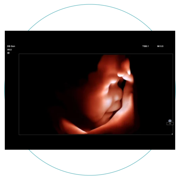 image-sec
