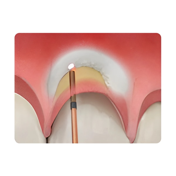 productCarousel Image