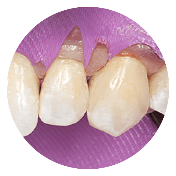 productCarousel Image