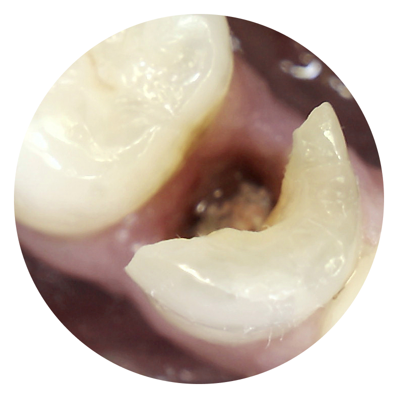 image-sec