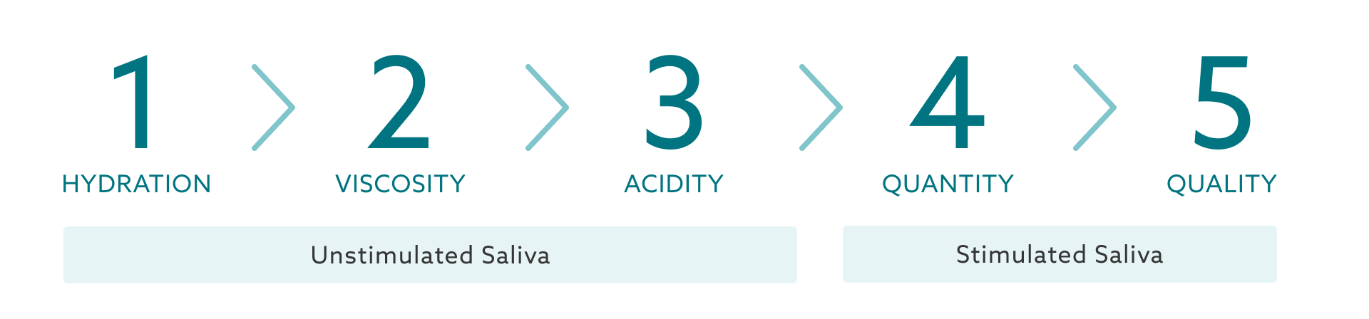 Saliva-Check BUFFER: assessing saliva's protective role