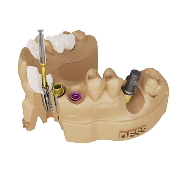 productCarousel Image